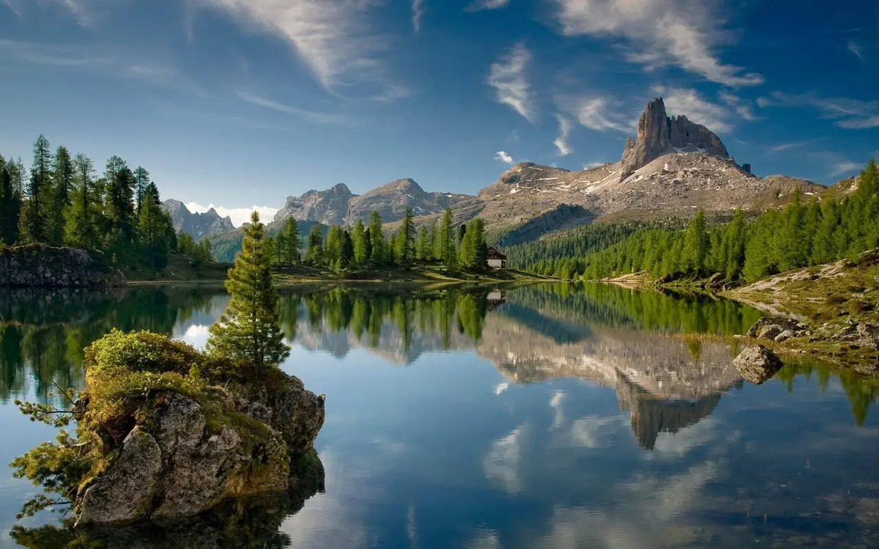 创意全自动可靠性